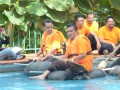 Tn DSC 4491
